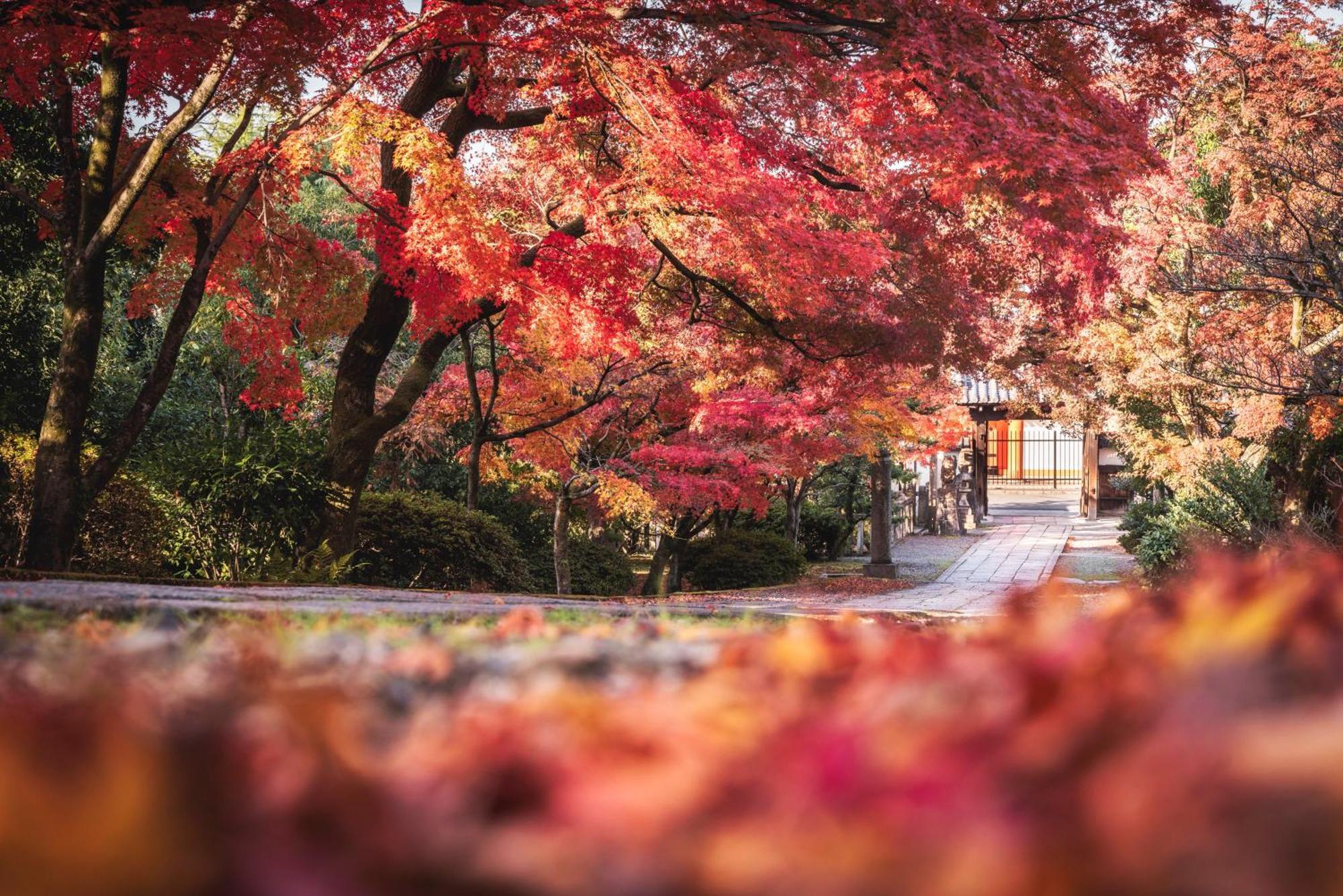 Omo5 Kyoto Gion By Hoshino Resorts Εξωτερικό φωτογραφία